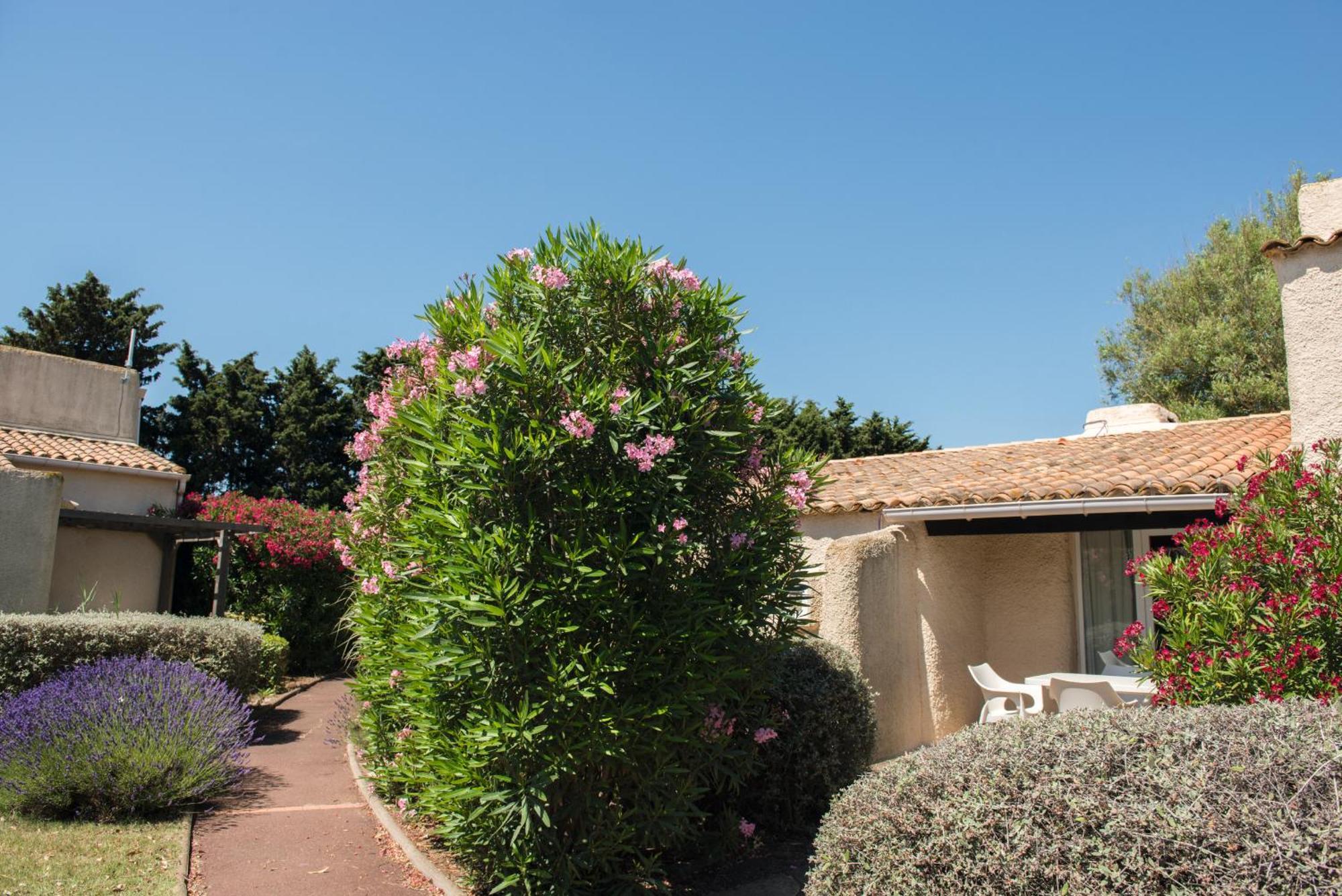 Hotel Sowell Family Cap D'Agde Exterior foto